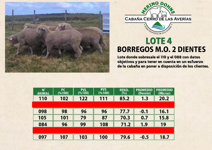 Lote LOTE 4