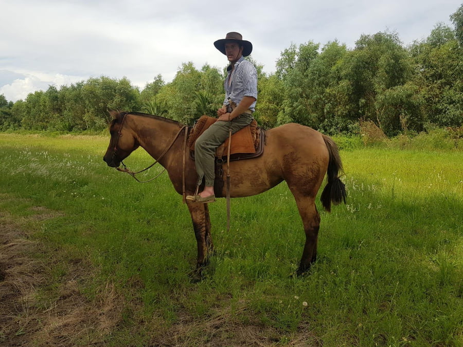 Lote LECHUZA ESCONDIDA