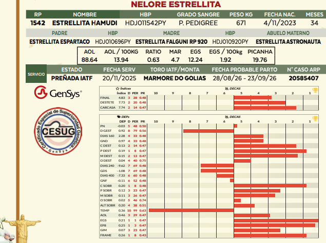 Lote LOTE 28