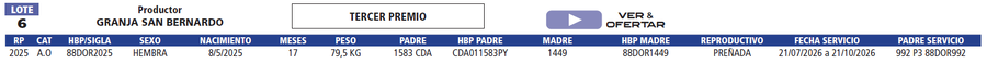 Lote LOTE 6