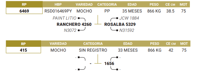 Lote LOTE 36