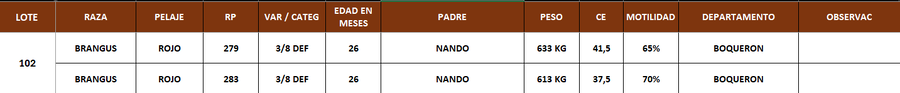 Lote LOTE 102