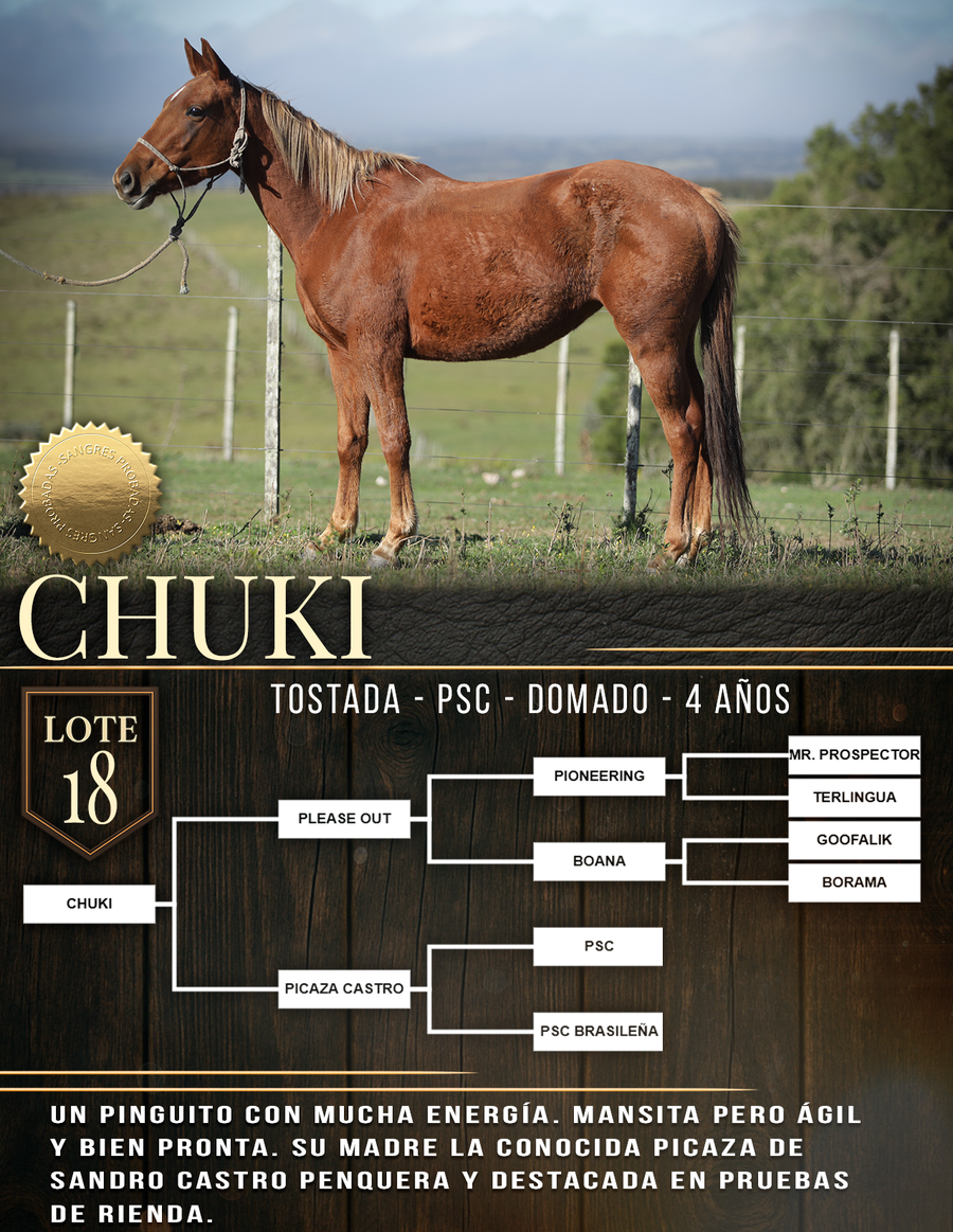 Lote CHUKI