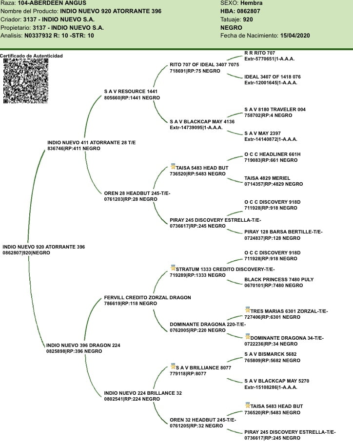 Lote VAQUILLONAS CON CRIA SANTA ROSA