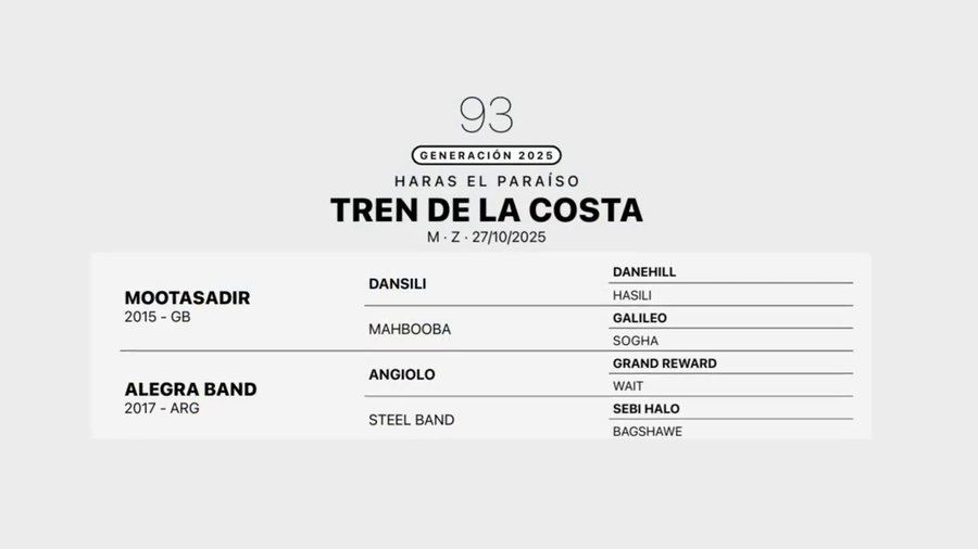 Lote TREN DE LA COSTA