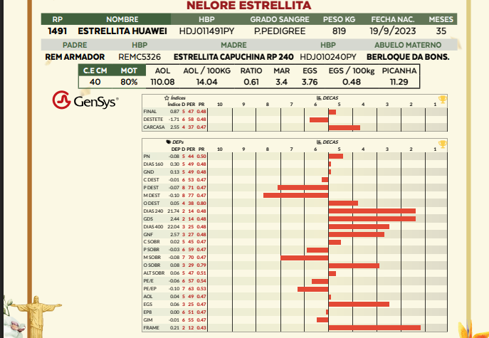 Lote LOTE 5