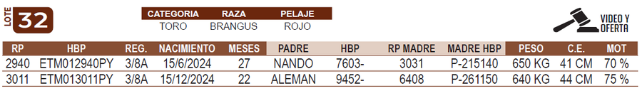 Lote LOTE 32