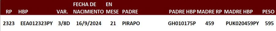 Lote LOTE 9