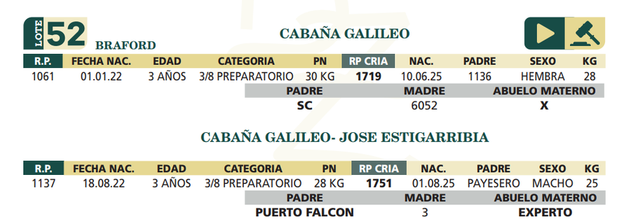 Lote LOTE 52