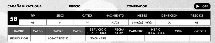Lote LOTE 58