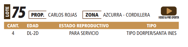 Lote LOTE 75 -POR PANTALLA