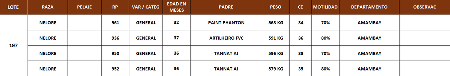 Lote LOTE 197 - POR PANTALLA