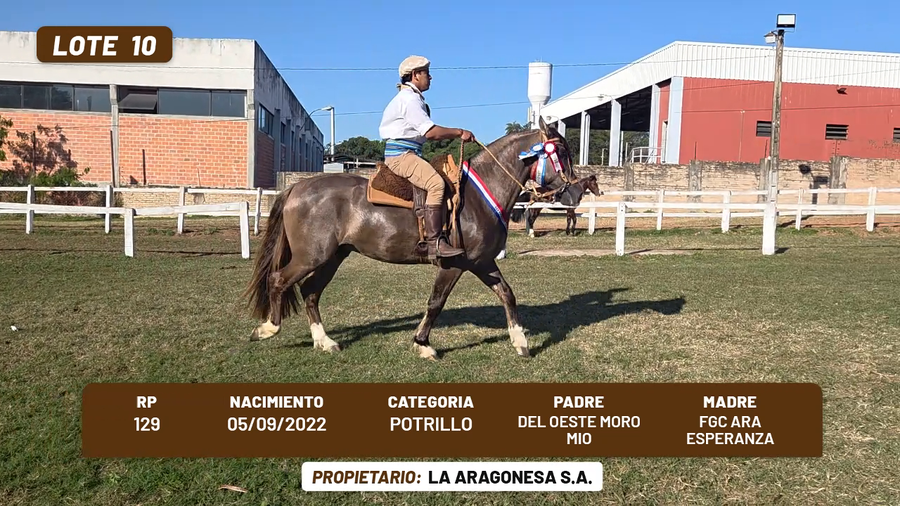 Lote LOTE 10