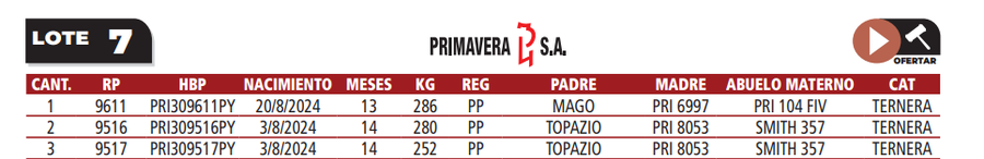Lote LOTE 7