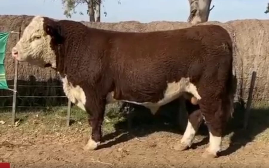 Lote CABAÑA EL TERRUÑO