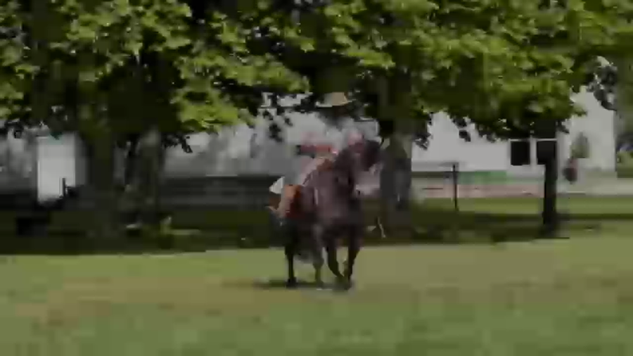 Lote Cañada Jovem Guarda (RP 349) Cabaña "La Cañada"