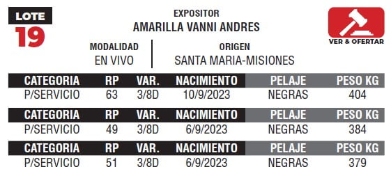 Lote LOTE 19- EN VIVO