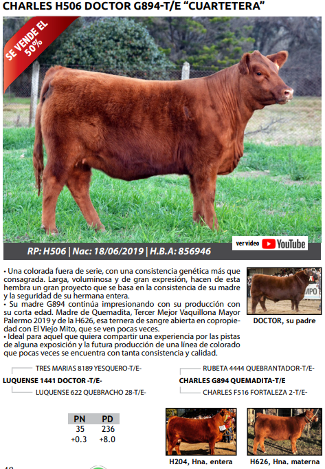 Lote TERNERAS PEDRIGREE