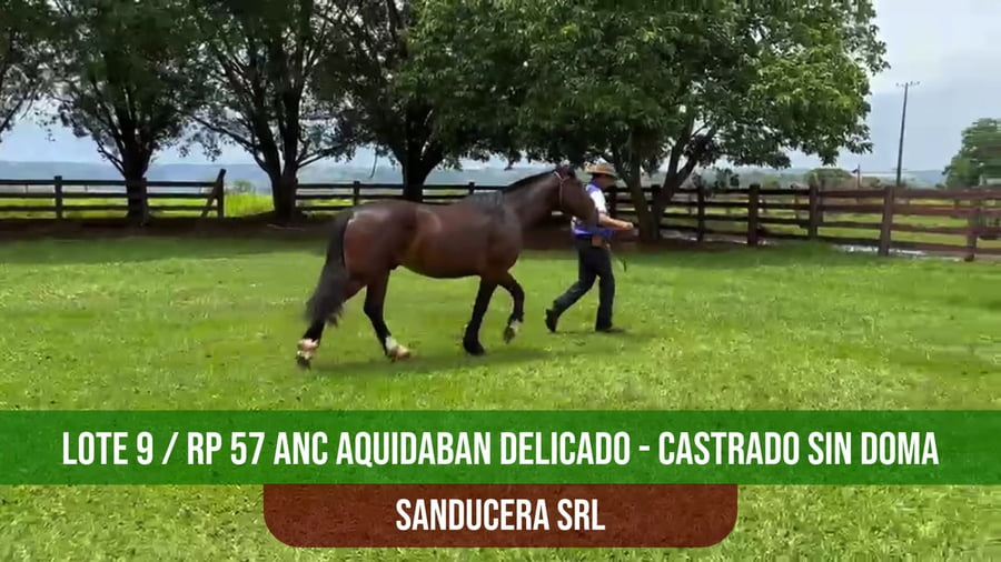 Lote ANC AQUIDABAN DELICADO