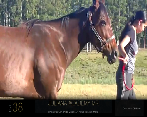 Lote JULIANA ACADEMY MR