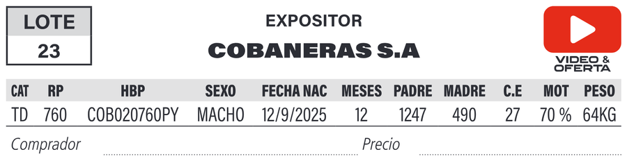 Lote LOTE 23