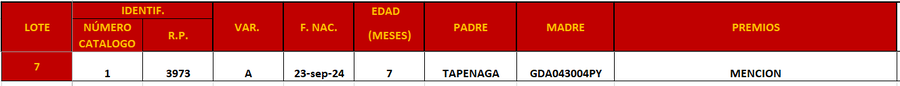 Lote LOTE 7