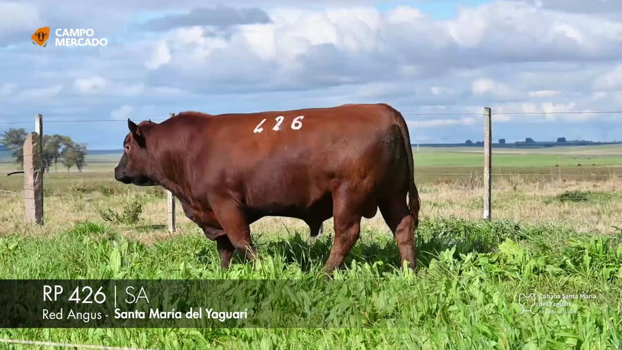 Lote RP 426