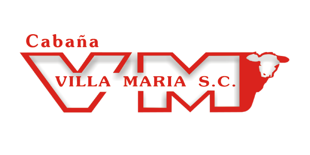 Lote TOROS PR CABAÑA VILLA MARIA