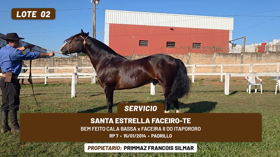 Lote LOTE 2