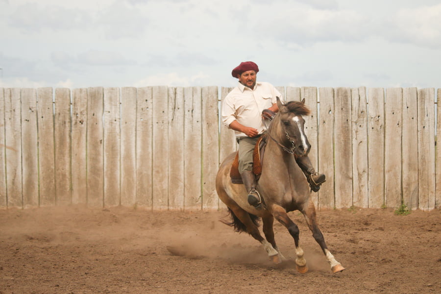 Lote LACAMPANA IMPERIAL