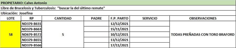 Lote Lote 58 Calvo Antonio