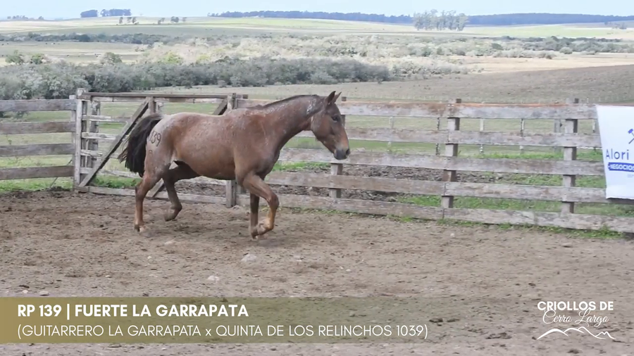 Lote FUERTE LA GARRAPATA