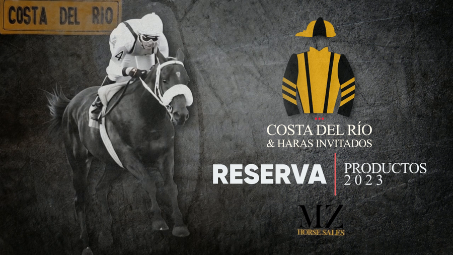 Lote COSTA VEGANA (LENOVO -  LA VEGA  por  WINNING PRIZE)