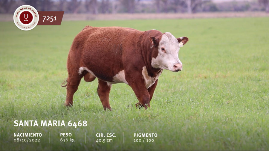 Lote Santa Maria del Arapey