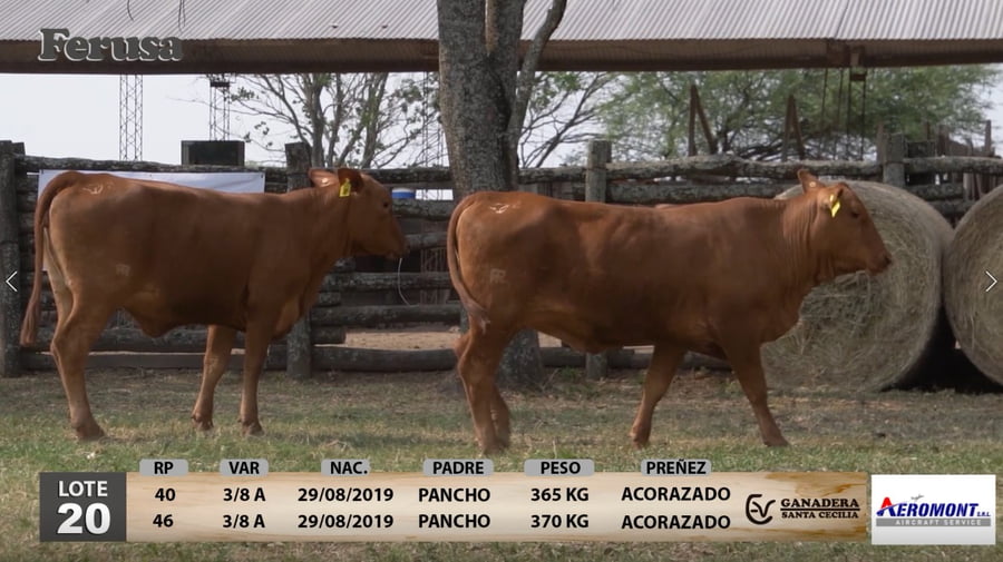 Lote Ganadera Santa Cecilia - Lote 20