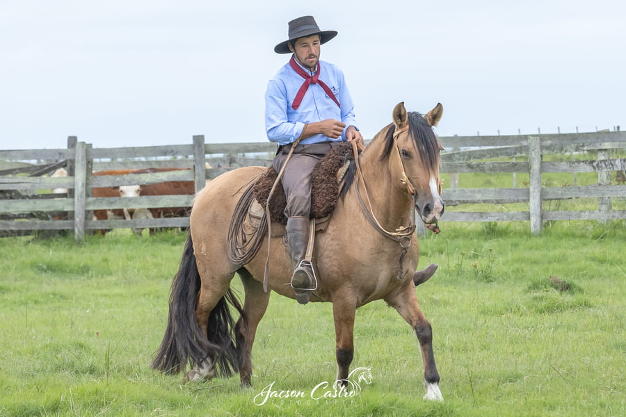 Lote Acacia De Los Recuerdos