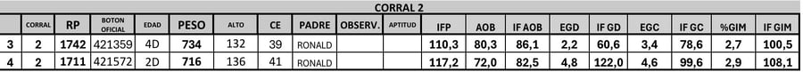 Lote 2 Toros PC