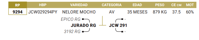 Lote LOTE 26