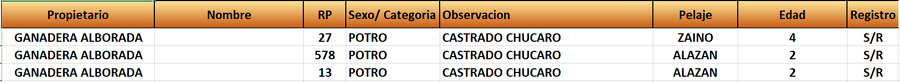 Lote LOTE 38
