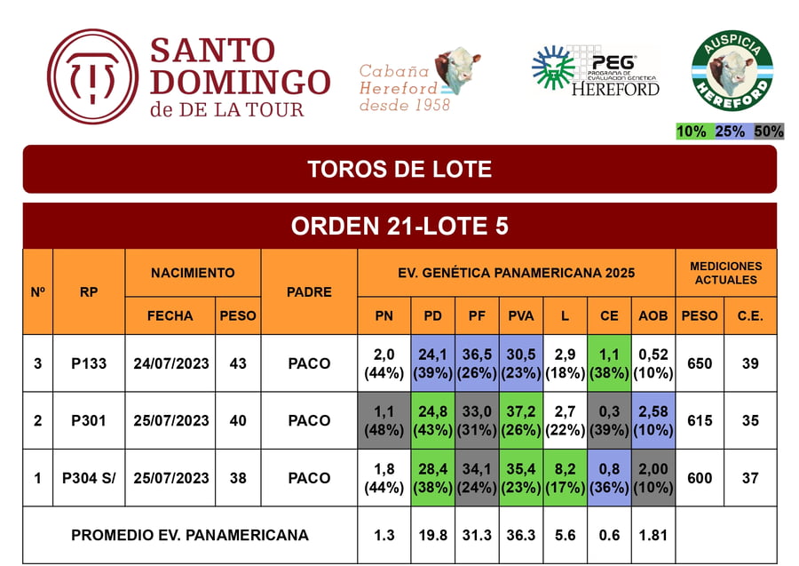 Lote Toros de Lote