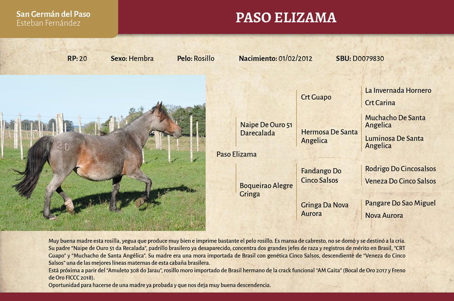 Lote Paso Elizama (RP 20) - Cabaña San Germán del Paso