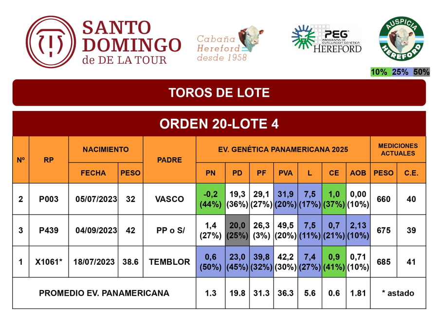 Lote Toros de Lote