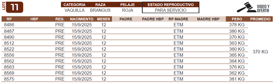 Lote LOTE 11