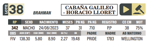 Lote LOTE 38