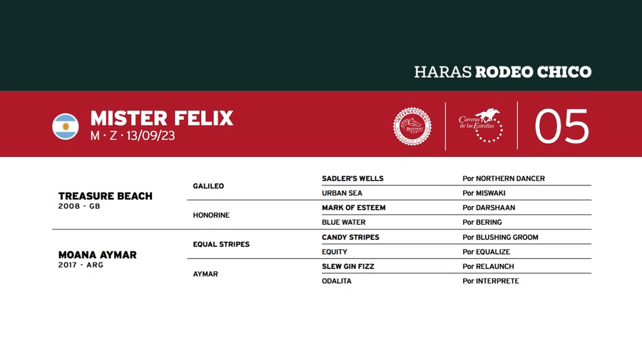 Lote MISTER FELIX