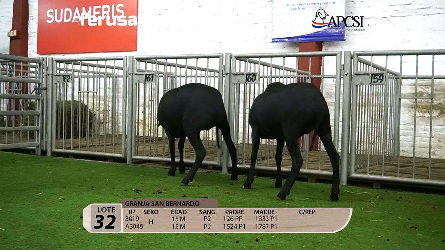 Lote Nacional Santa Inés Campo - Lote 32