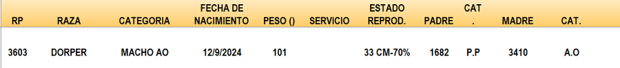 Lote LOTE 32