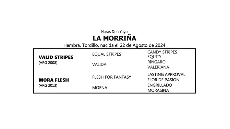 Lote LA MORRIÑA