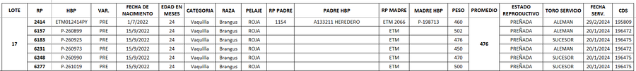 Lote LOTE 17