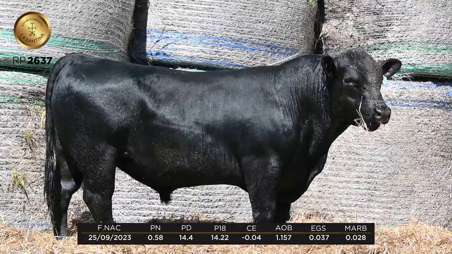 Lote LA SANTINA 2637 LS 729